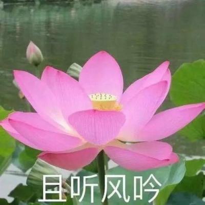 奇迹屠仙手游小米版本下载