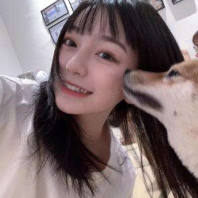 罗小黑战记妖灵簿游戏下载